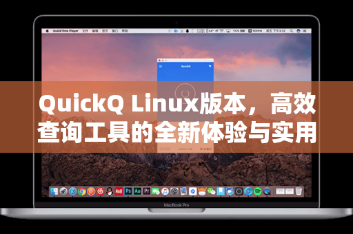 QuickQ Linux版本，高效查询工具的全新体验与实用指南