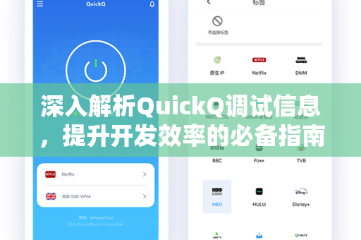 深入解析QuickQ调试信息，提升开发效率的必备指南
