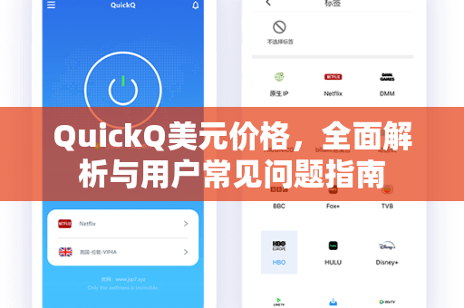 QuickQ美元价格，全面解析与用户常见问题指南